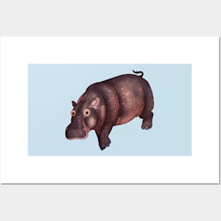 Cozy Hippopotamus Posters and Art